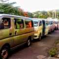 Why Some Families Use Separate Transportation Arrangements During Moving Day
